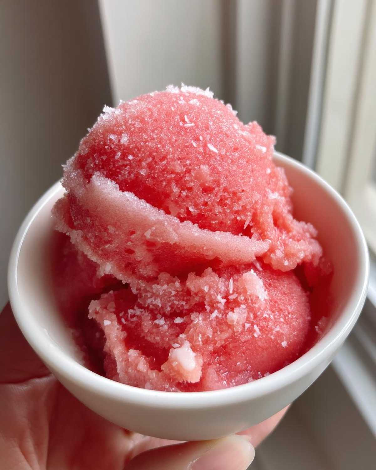 Watermelon sorbet with coconut