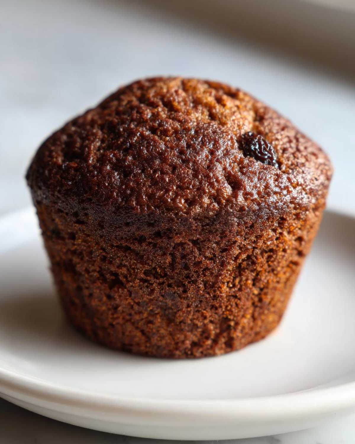 A single, dark brown, moist bran muffin topped with a raisin, sitting on a white plate.