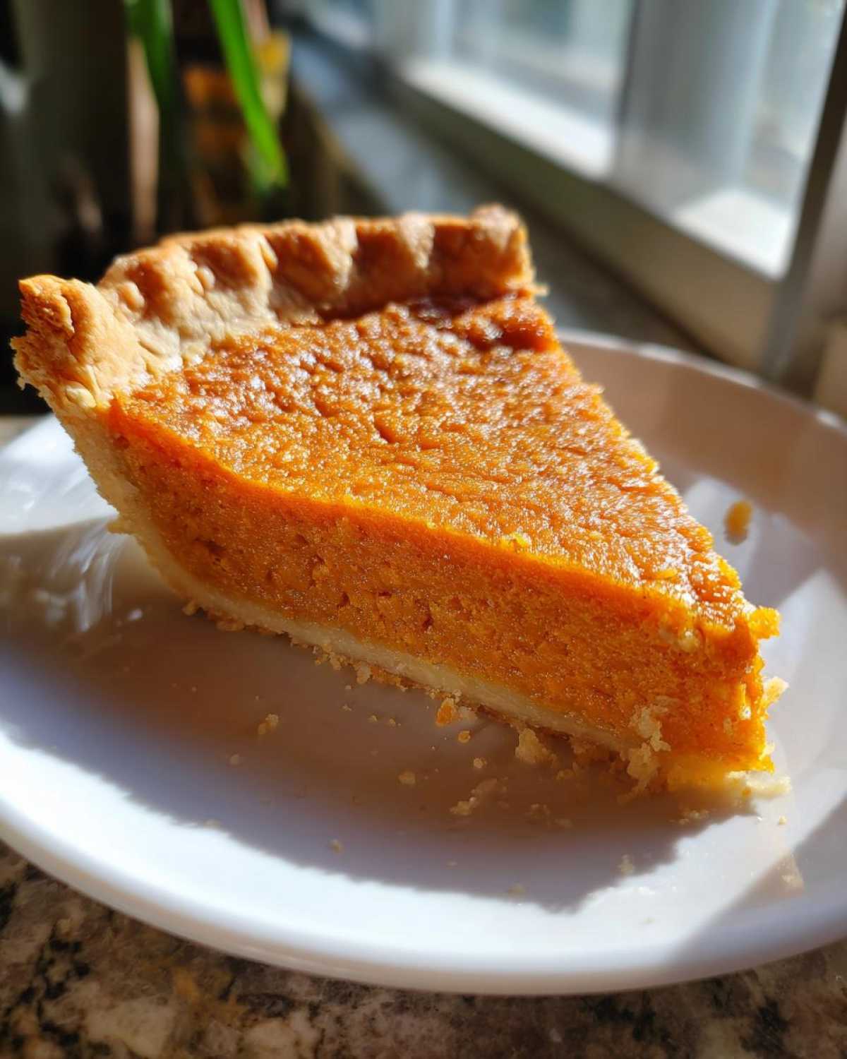 A close-up shot of a single slice of vibrant orange sweet potato pie resting on a white plate, backlit by a window.